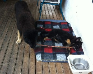 Foto1bakuma 09.08.2011