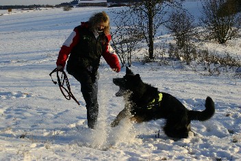 IMG_0116brix-balu februar 2013