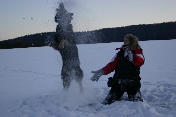 IMG_0140 brix-balu februar 2013