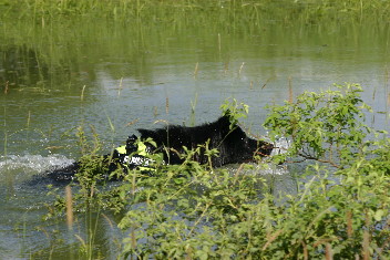 IMG_0206brix-balu juni2013