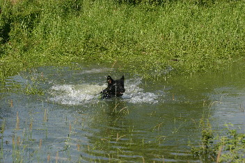 IMG_0211brix-balu juni2013