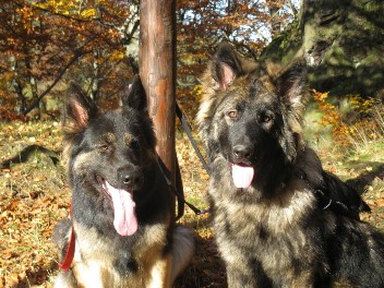 IMG_0414_1 oktober 2011