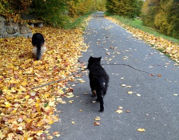 IMG_0614 diego 27.10.2012
