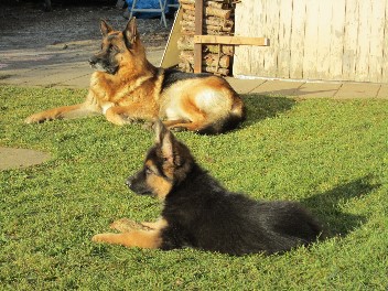 IMG_0863 chayna 30.11.2011