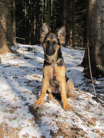 IMG_1152 chayna 13.02.2012