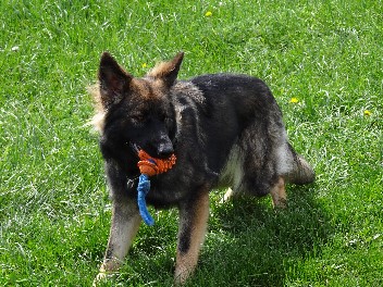 Luna draussen 008 bonita mai 2012