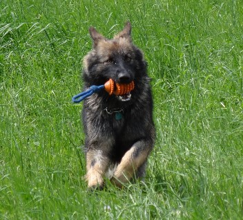 Luna draussen 027 bonita mai 2012