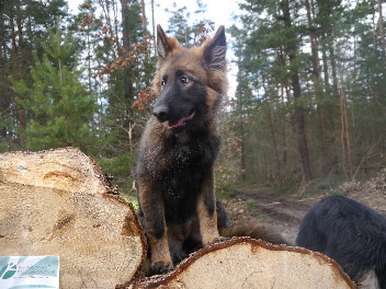 P1080619fiara februar2014