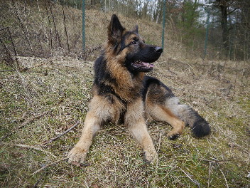 P1080683enjo februar2014