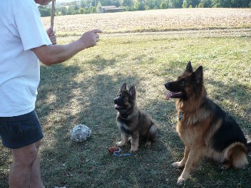 P1080893django 11.09.2012