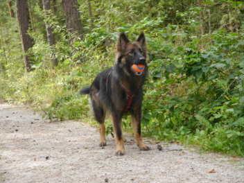 P1120659 fiara september 2014