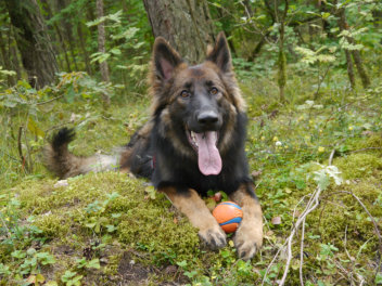 P1120748 fiara september 2014