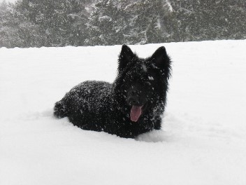 Schnee1 bakuma 23.01.2012