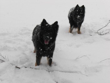 Schnee8 bakuma 23.01.2012