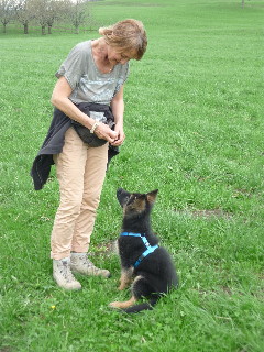 Timber2 004 enzo 23.04.2013