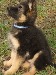 Timber 001, 13.04.2013