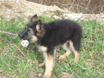 Timber 004, 13.04.2013
