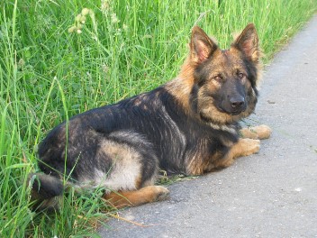 Unbenannt - 11 30.05.200802