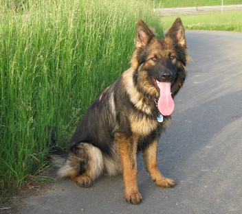 Unbenannt - 14 30.05.200802