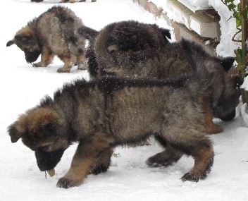 Unbenannt - 2 13.02.2010