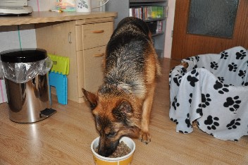 akira 30.09.2011 - 14