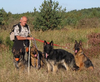 altdeutsche sch�ferhunde02