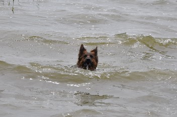 am bodden akira mai 2012 - 27