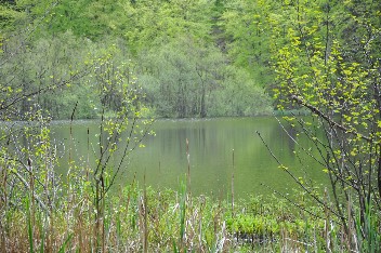 am schwarzen see - 10