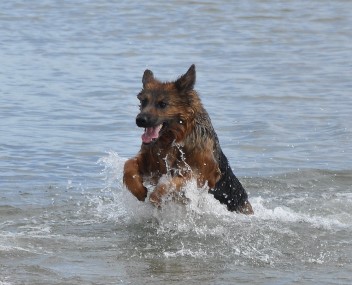 am strand akira mai 2012 - 88