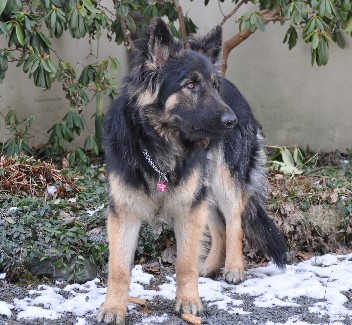 andro 24.02.2011 14