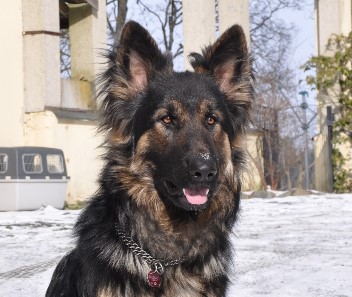 andro 24.02.2011 44+