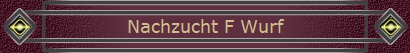 Nachzucht F Wurf