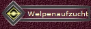 Welpenaufzucht