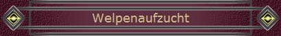 Welpenaufzucht