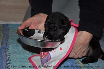 16.01.2014 brei - 6