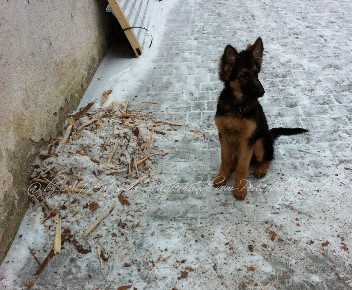 Aik 0031 07.02.2012