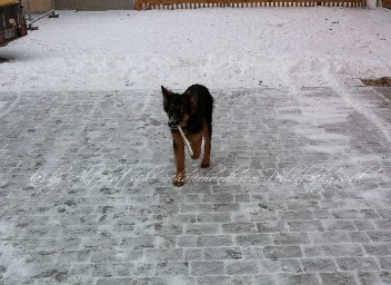 Aik 010 07.02.2012