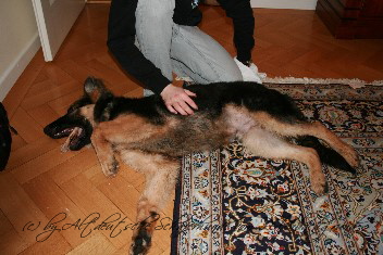 Chandro-Astor Febr.2012 01202