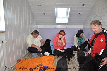 abholtag 1.3.2014 - 4