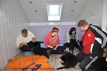 abholtag 1.3.2014 - 5