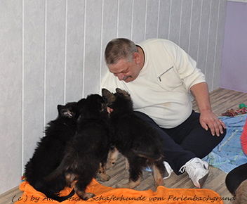 abholtag 1.3.2014 - 8