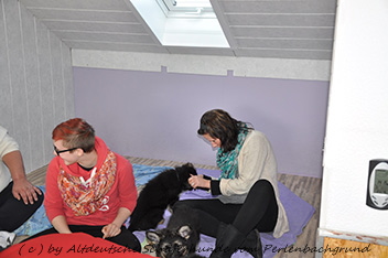 abholtag 1.3.2014 - 9