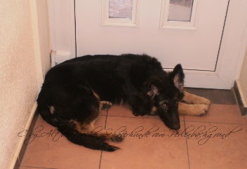 champ winter 2012 001