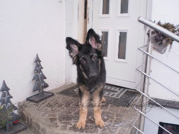 champ winter 2012 0071