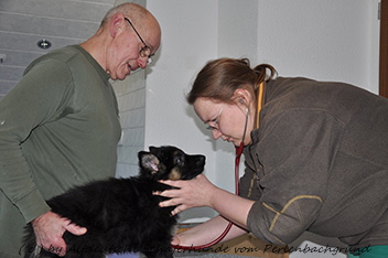 impfen 25.02.2014 - 2