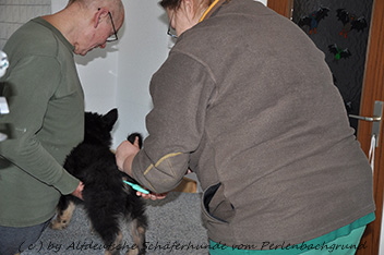 impfen 25.02.2014 - 4