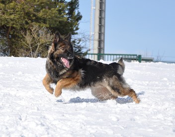 jazzy 16.02.2012 - 96