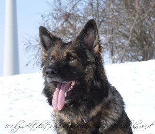 jazzy 16.02.2012 - 9502