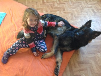 bajana 1dezember 2012