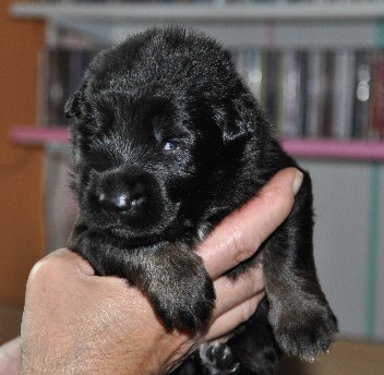 bakuma01.05.2011.2011 - 15